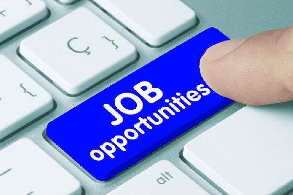 Job Vacancies on the Rise in Most Canadian Provinces